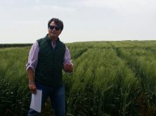 Toda la producción y comercialización de cereales en Valladolid