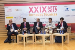 JORNADAS AETC- ROCIOMARTIN-21 (5)
