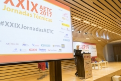 JORNADAS AETC- ROCIOMARTIN-56 (2)