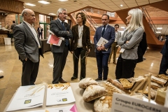 JORNADAS237