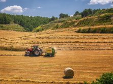 Cooperativas prevé más de 25 Mt de cosecha de cereales en 2025/26