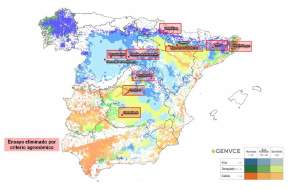 GENVCE publica los resultados de las nuevas variedades de colza de otoño de la campaña 2025-2026